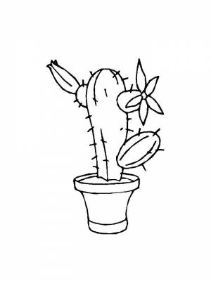 Раскраска Кактус   в формате