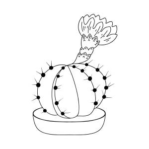 Розовый кактус