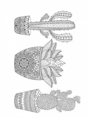 Раскраски Кактус Антистресс   в формате