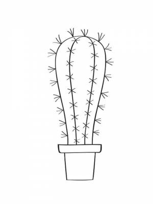 Раскраска Кактус   в формате