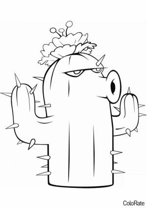 Раскраска Кактус