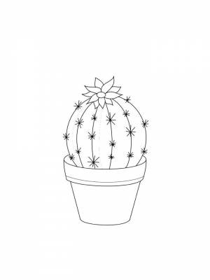 Раскраска Кактус   в формате