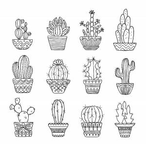 Раскраска Кактус В Горшке