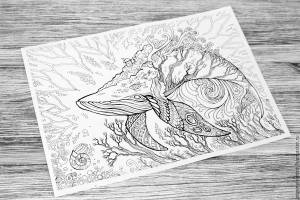 Кит Кахаварра