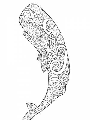 Раскраски Кит Антистресс   в формате