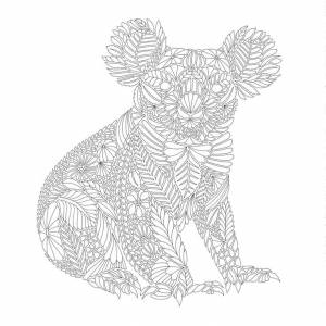 Коала