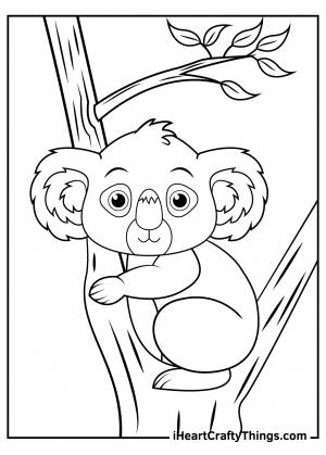 Коала раскраска