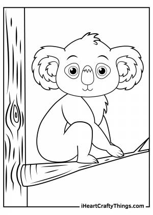 Коала раскраска