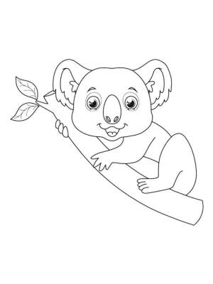 Раскраски Коала