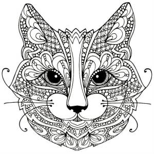 Раскраска антистресс кошка