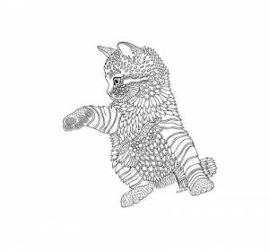 Раскраска антистресс мелкая кошка