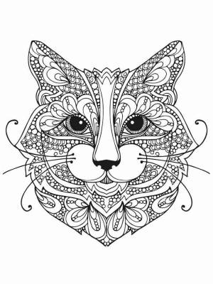 Раскраски Кошек Антистресс