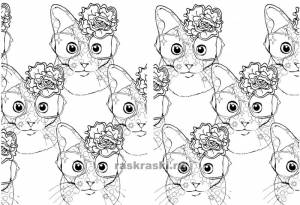 Кототерапия