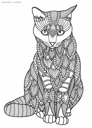 Раскраска Кот