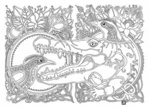 Раскраски Раскраска Крокодил и птицы