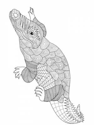 Раскраска Крокодил Антистресс   в формате