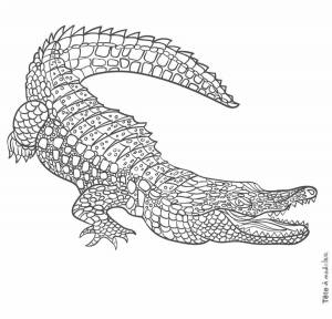 Раскраски Антистресс крокодил