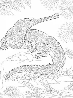 Раскраски Крокодил Антистресс   в формате