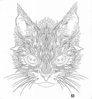 За кроликом в сказочный лес