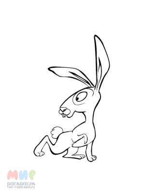 Раскраска Заяц ногами спасается