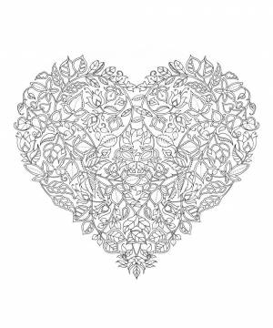 Раскраски антистресс