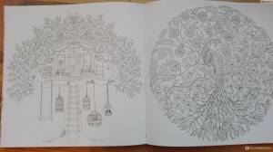 Раскраска антистресс джоанна басфорд