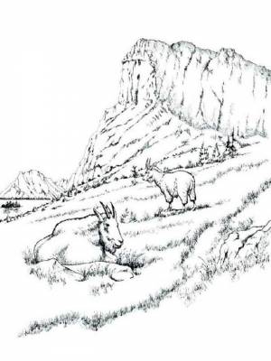 Раскраски Ландшафт Антистресс   в формате