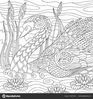 Лебедь Рядом Водянистый Соломенный  Раскраски Взрослых Элементами Zentangle Векторное Векторное изображение ©daniella