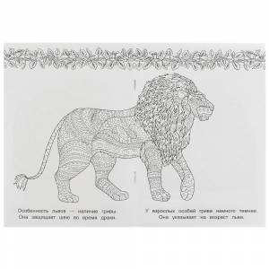 Раскраска-антистресс А5 Арт-терапия