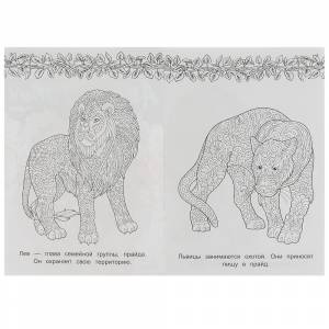 Раскраска-антистресс А5 Арт-терапия