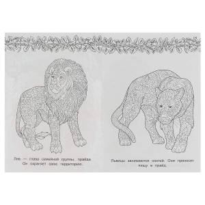 Раскраска А5 Умка Арт-терапия