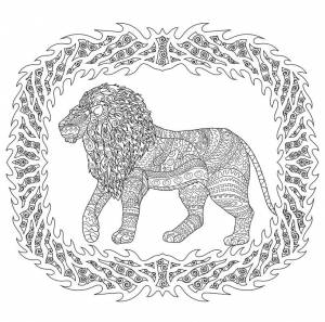 Раскраска антистресс лев 2