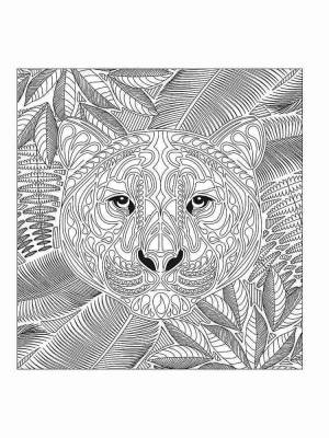 Раскраски Леопард Антистресс