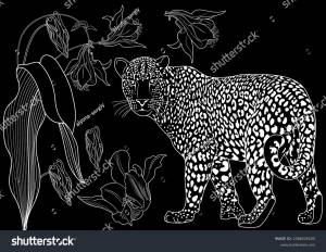 Colouring Pictures Basketof Flowers Leopard Antistress