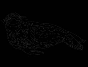 Раскраска Морские леопарды