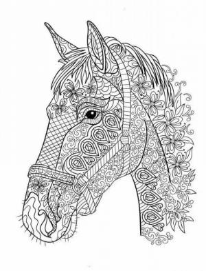 Раскраски сложная лошадь