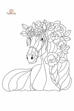 Красивая лошадь антистресс