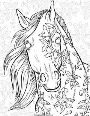 Раскраски животные сложные лошади