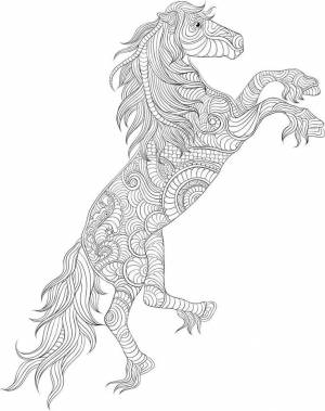 Раскраска антистресс лошади