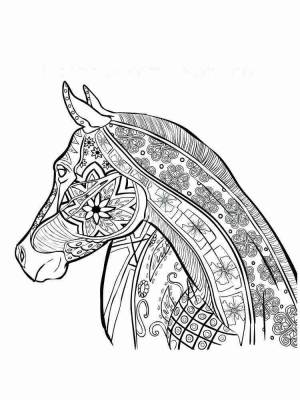 Раскраски Лошадь Антистресс
