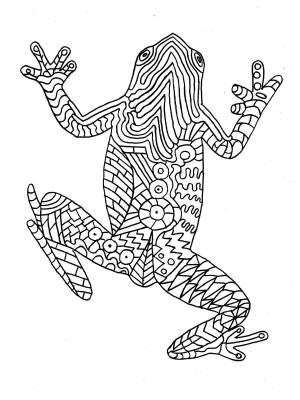 Раскраски Лягушки