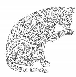 Кошечка умывается