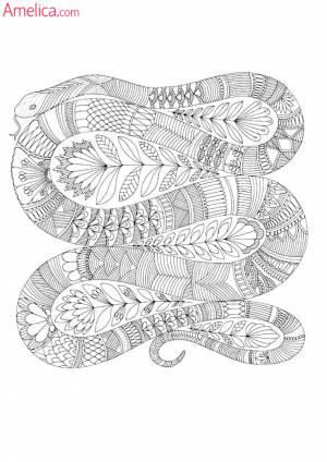 раскраски арт-терапия   для взрослыхAmelica