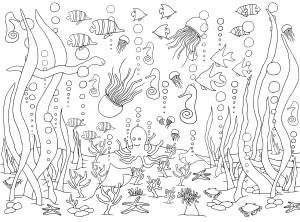 Взрослый Раскраски антистресс Море   раскраски и PNG шаблоны