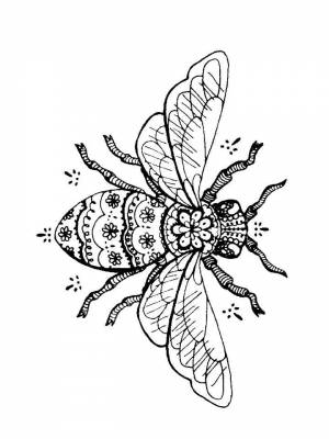 Раскраска Муха Антистресс  онлайн