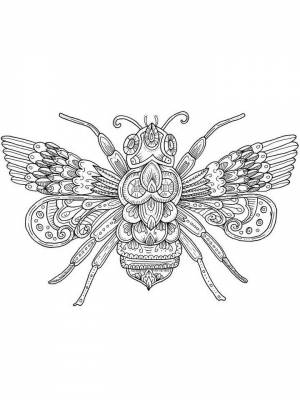 Раскраска Муха Антистресс   в формате