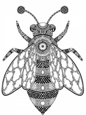 Раскраски Муха Антистресс   в формате