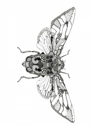 Раскраска Муха Антистресс  листе  для детей