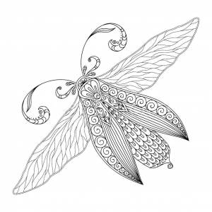 Раскраски Раскраска Насекомые раскраски антистресс