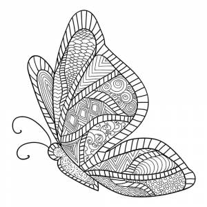 Бабочка сложная раскраска